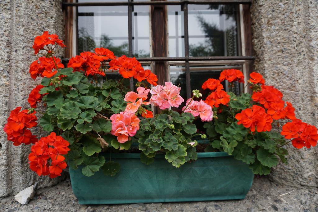Bio-Bauernhof Rettenbachgut แวร์เฟิน ภายนอก รูปภาพ